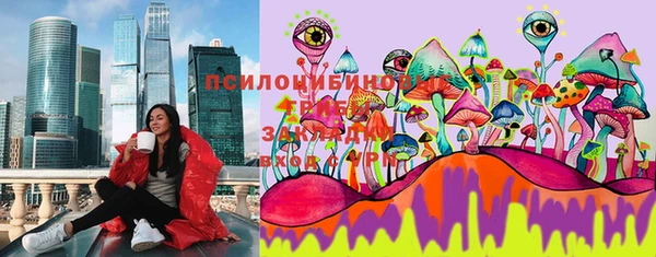 эйфоретик Белокуриха