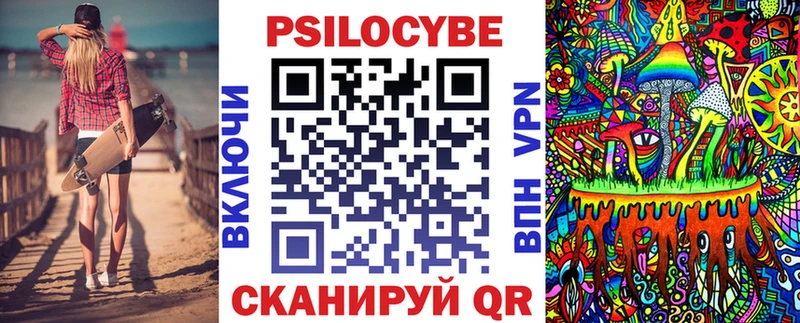 Псилоцибиновые грибы Psilocybe Тулун