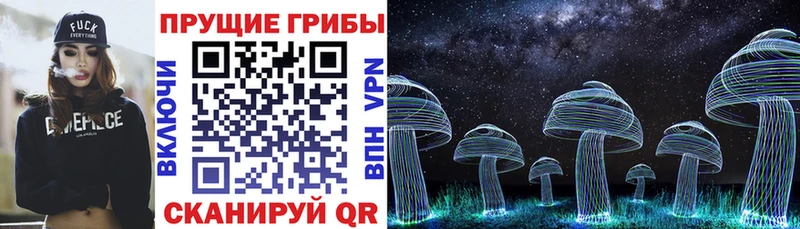 Псилоцибиновые грибы Psilocybine cubensis  цена наркотик  Тулун 